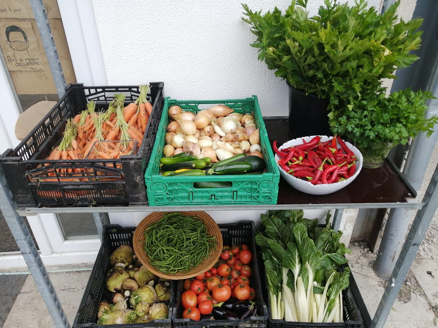 Légumes du jardin en cagettes